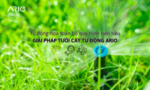 tưới tiêu tự động 0